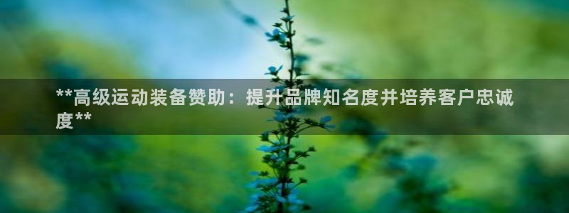 欧陆娱乐是正规平台吗安全吗知乎：**高级运动装备赞助