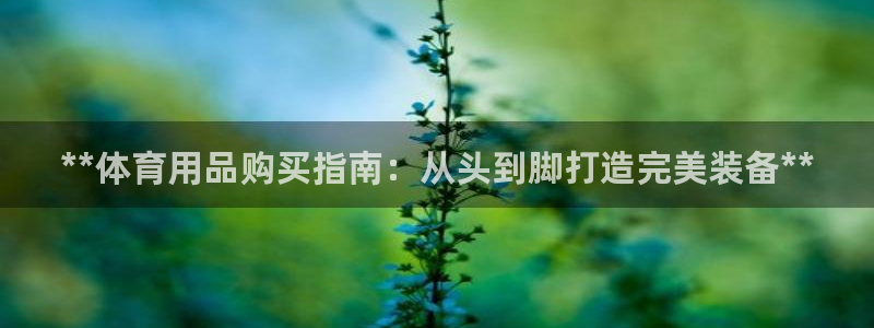 欧陆娱乐平台登录不上去怎么回事：**体育用品购买指南