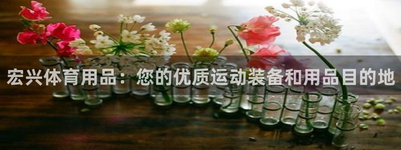 欧陆公司在哪里：宏兴体育用品：您的优质运动装备和用品