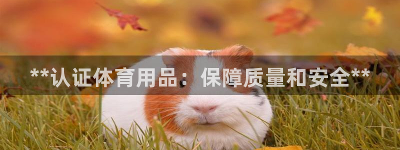 欧陆娱乐有限公司怎么样：**认证体育用品：保障质量和