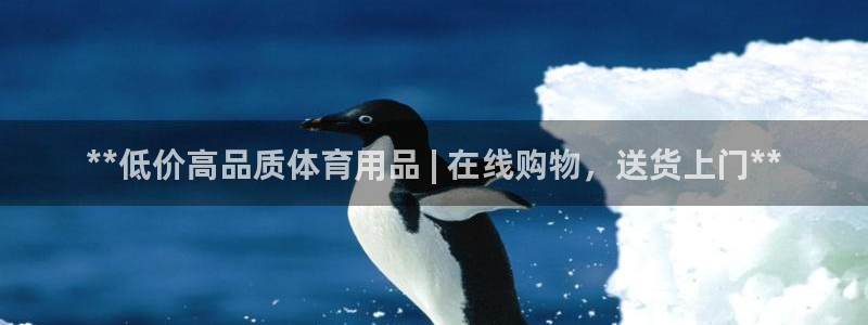 欧陆娱乐图片：**低价高品质体育用品 | 在线购物，