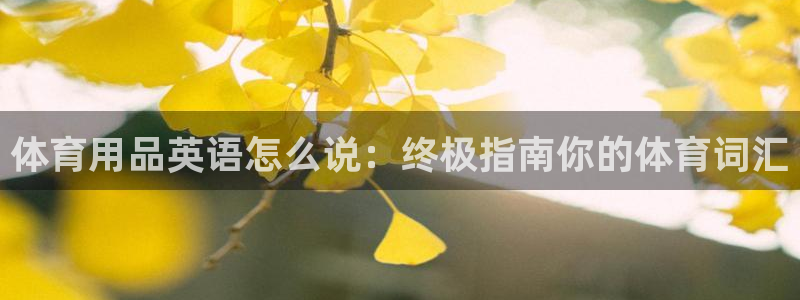 欧陆娱乐官网网址是什么：体育用品英语怎么说：终极指南