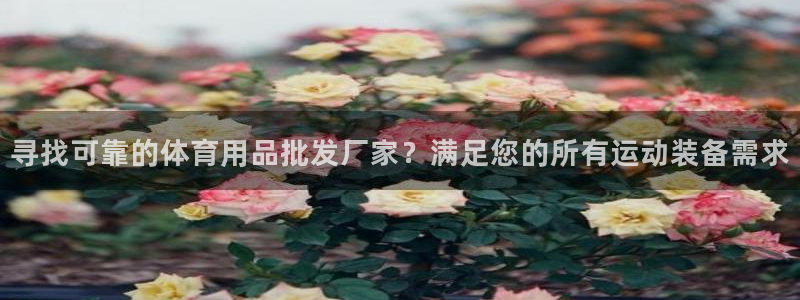 欧陆娱乐客服电话人工服务热线：寻找可靠的体育用品批发