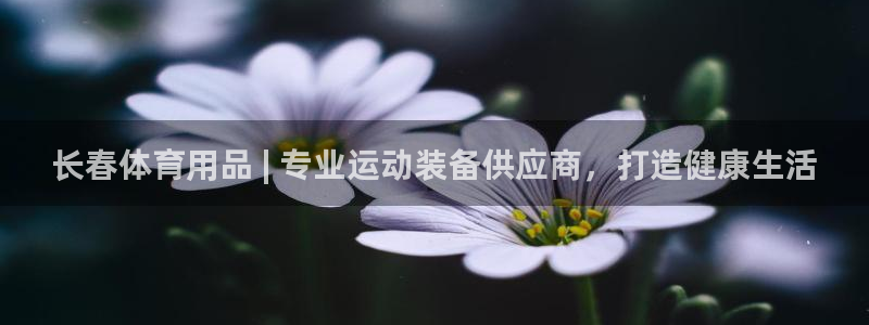 欧陆娱乐公司产品介绍图片：长春体育用品 | 专业运动