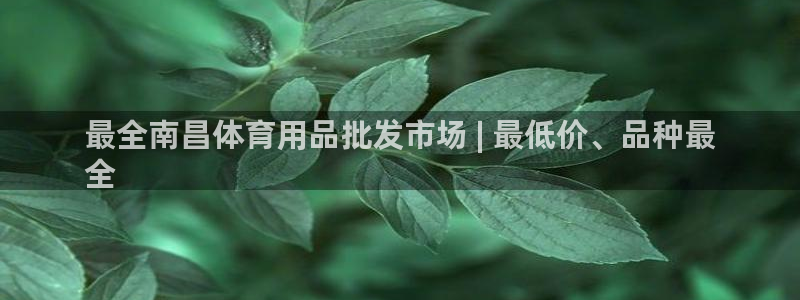 欧陆娱乐登录平台下载：最全南昌体育用品批发市场 | 