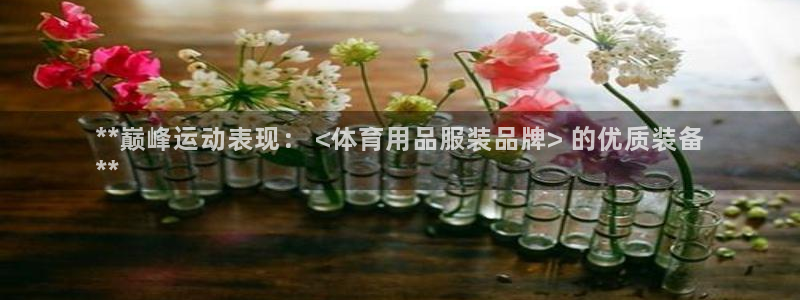 欧陆娱乐登录注册平台：**巅峰运动表现： <体育用品