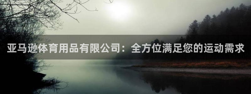 欧陆娱乐平台登陆地址是什么：亚马逊体育用品有限公司：