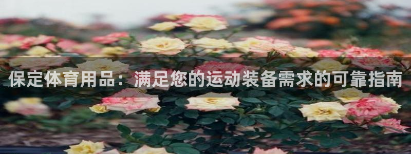 欧陆娱乐能不能玩手游：保定体育用品：满足您的运动装备