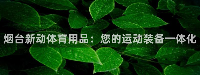 欧陆娱乐信誉如何：烟台新动体育用品：您的运动装备一体