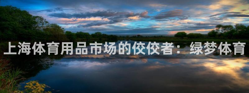 欧陆娱乐平台咋样赚钱快：上海体育用品市场的佼佼者：绿