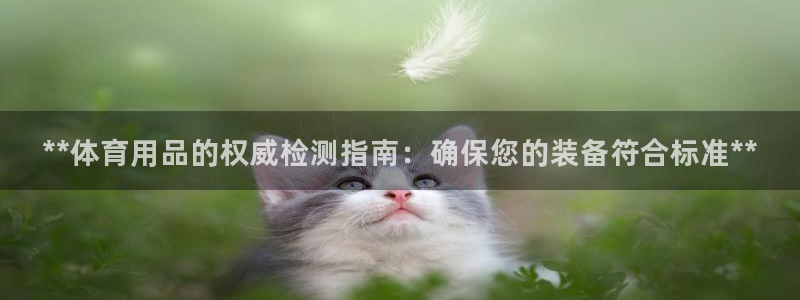 欧陆娱乐登录测速网站：**体育用品的权威检测指南：确