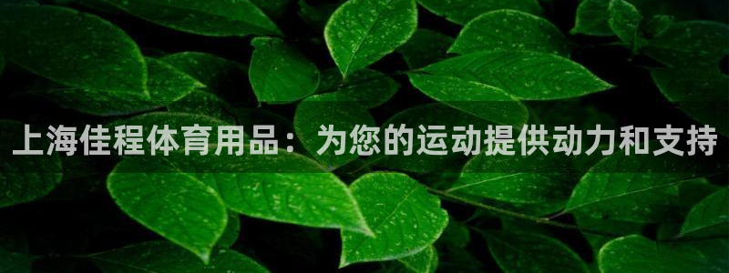 欧陆娱乐注册链接安全吗：上海佳程体育用品：为您的运动