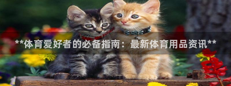 欧陆娱乐登陆平台有哪些：**体育爱好者的必备指南：最