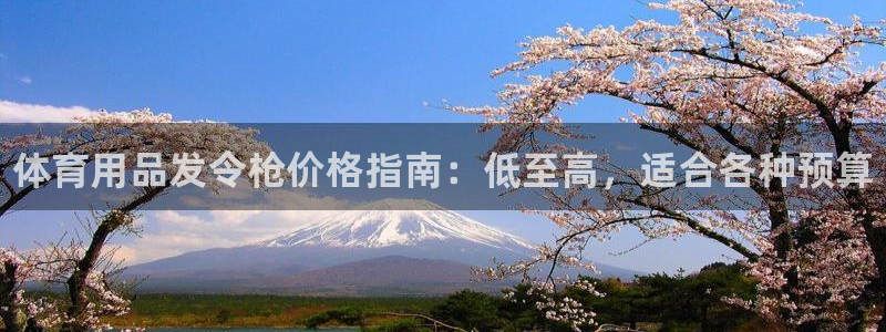 欧陆娱乐百科官网：体育用品发令枪价格指南：低至高，适合各种预