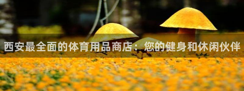 欧陆娱乐怎么注册：西安最全面的体育用品商店：您的健身和休闲伙