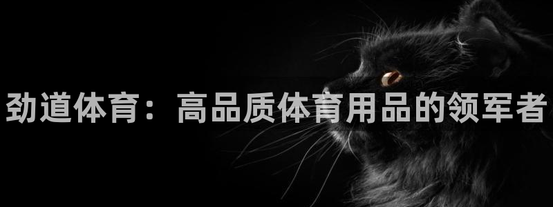 欧陆娱乐官方下载安装：劲道体育：高品质体育用品的领军
