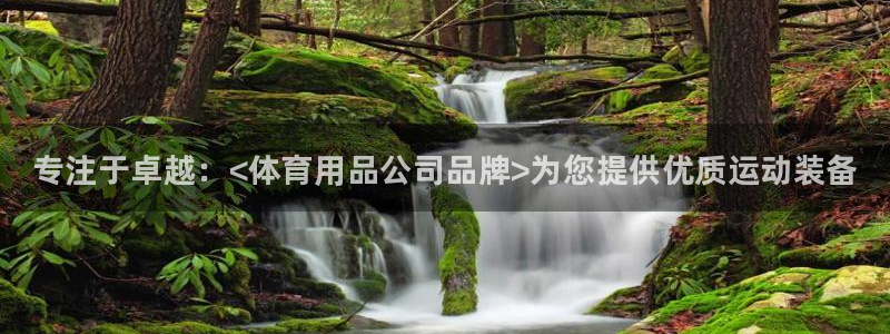 欧陆娱乐是那个旗下的品牌：专注于卓越：<体育用品公司