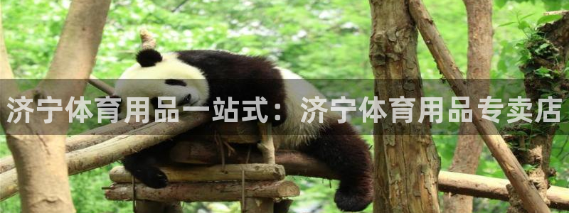 欧陆娱乐注册链接安全吗知乎：济宁体育用品一站式：济宁