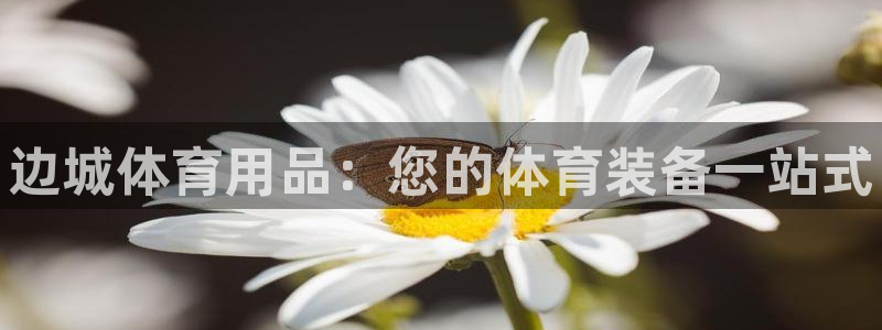 欧陆娱乐官网网址是什么：边城体育用品：您的体育装备一