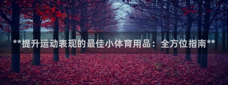 欧陆娱乐登录平台：**提升运动表现的最佳小体育用品：