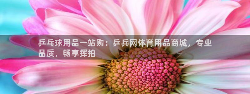 欧陆娱乐是真的假的：乒乓球用品一站购：乒兵网体育用品