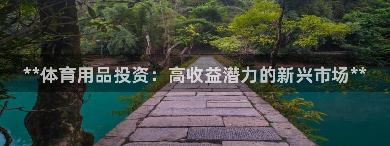 欧陆娱乐挂机项目：**体育用品投资：高收益潜力的新兴市场**