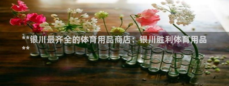 欧陆娱乐官网注册中心下载：**银川最齐全的体育用品商