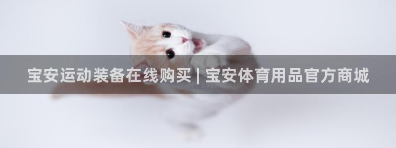 欧陆娱乐代理多少个点位啊：宝安运动装备在线购买 | 