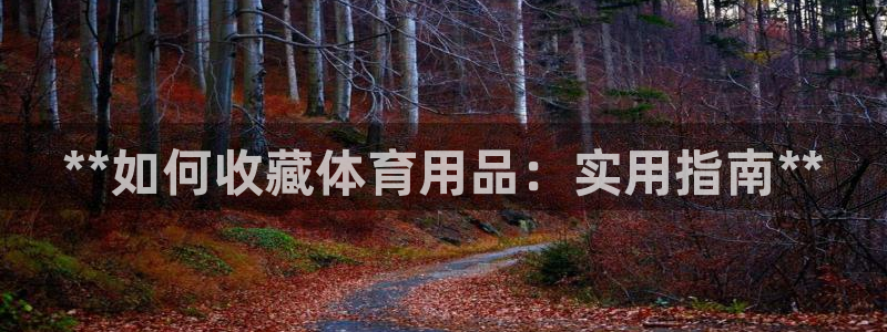 欧陆娱乐测试网站：**如何收藏体育用品：实用指南**