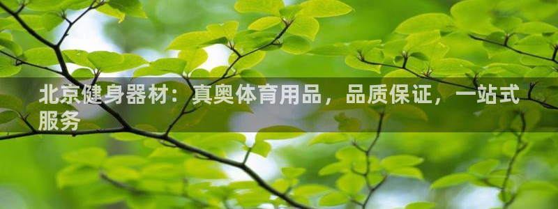欧陆娱乐app攻略：北京健身器材：真奥体育用品，品质保证，一
