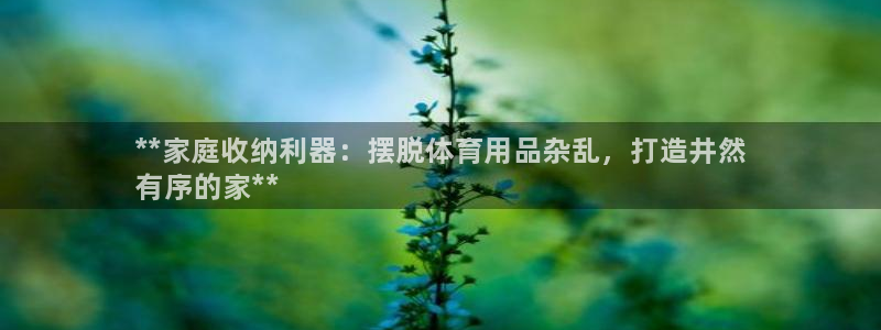 欧陆平台：**家庭收纳利器：摆脱体育用品杂乱，打造井