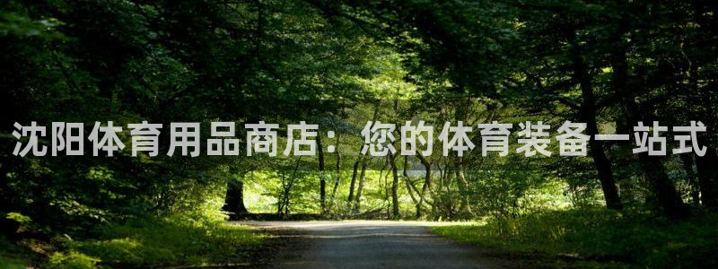 欧陆娱乐注册代理：沈阳体育用品商店：您的体育装备一站