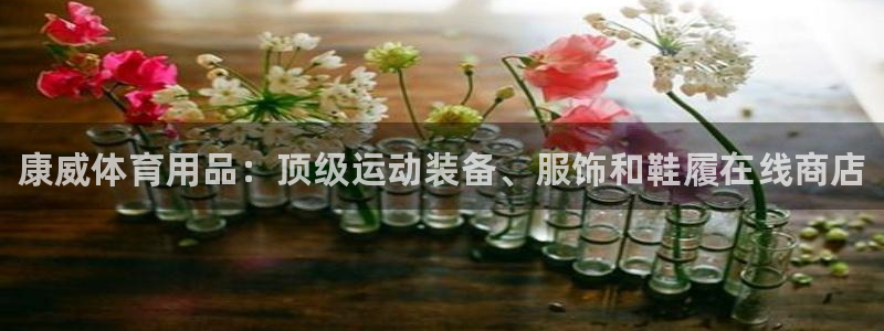 欧陆娱乐平台登录不上去：康威体育用品：顶级运动装备、