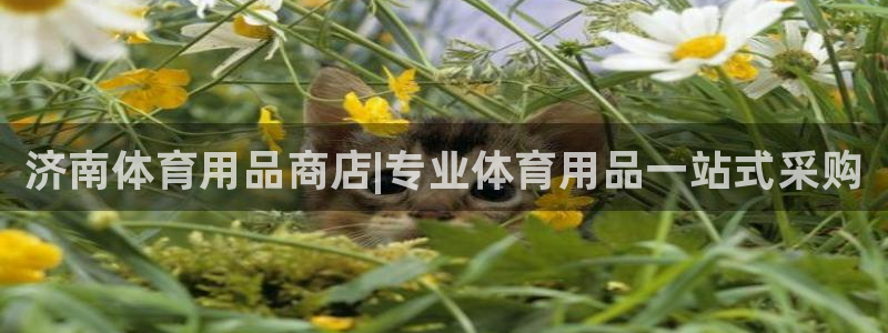 欧陆娱乐客服服务怎么样：济南体育用品商店|专业体育用品一站式