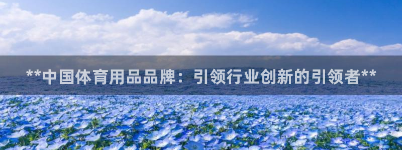 欧陆娱乐脚本怎么下载：**中国体育用品品牌：引领行业创新的引