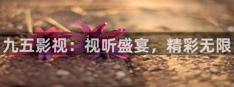 河马视频网：九五影视：视听盛宴，精彩无限