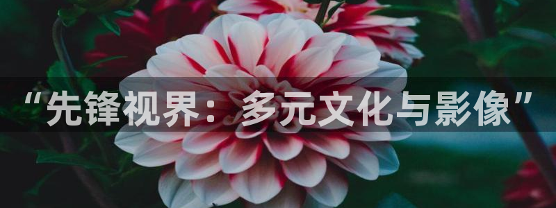 河马视频无广告版