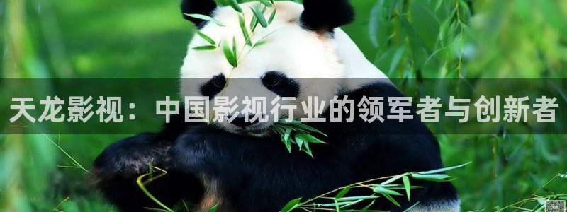 河马剧场全集免费观看高清：天龙影视：中国影视行业的领军者与创新者