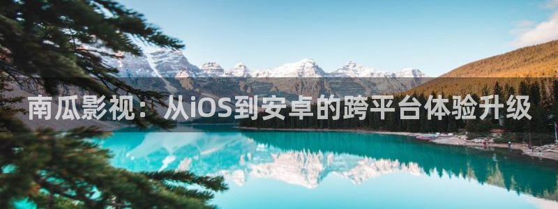 河马视频河马视频：南瓜影视：从iOS到安卓的跨平台体验升级