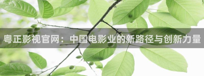 河马视频河马视频：粤正影视官网：中国电影业的新路径与创新力量