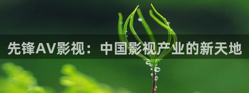 色河马视频：先锋AV影视：中国影视产业的新天地