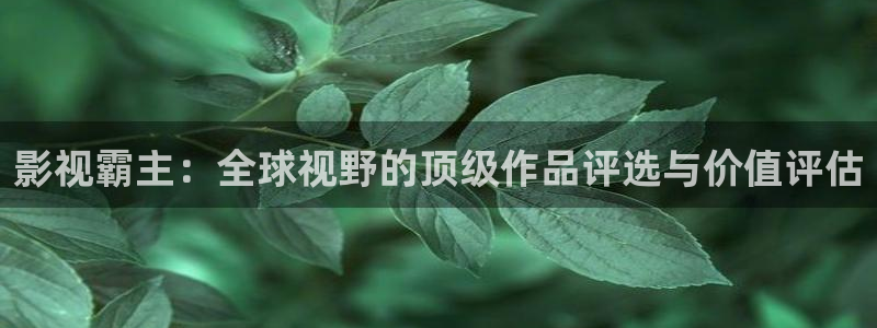 河马视频介绍：影视霸主：全球视野的顶级作品评选与价值评估