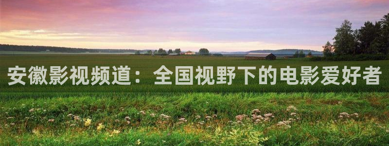 河马视频看电视剧：安徽影视频道：全国视野下的电影爱好者